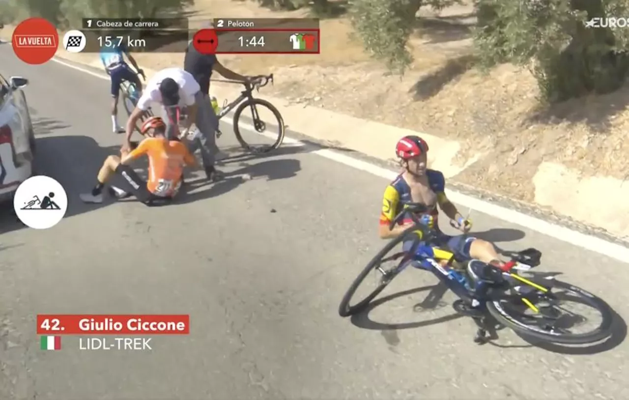 Wild scenes at Vuelta a España as herds of deer crossing the road jump over race cars and cause crash in the peloton, bringing down two riders