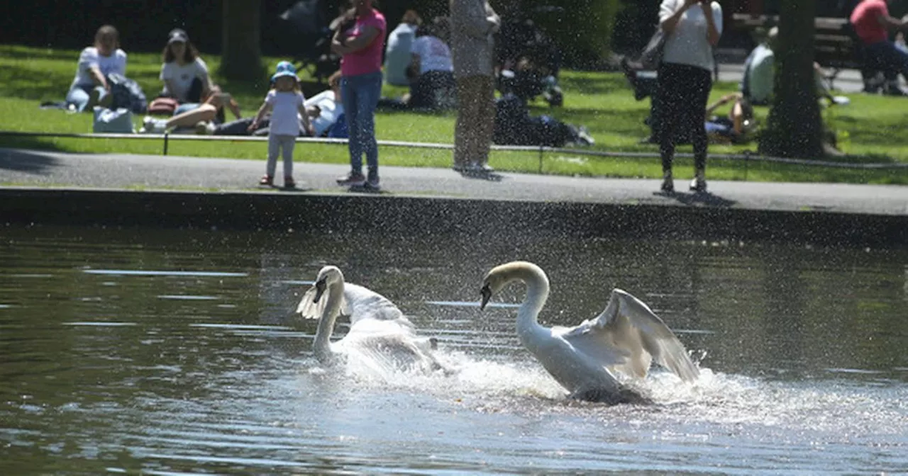 Met Eireann shares when warm sunshine will return as 6 counties hit with warning