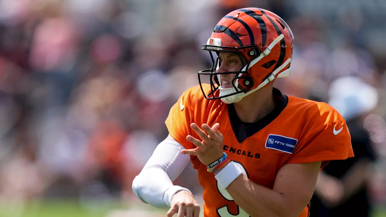 Cincinnati Bengals Quarterback Joe Burrow Near Top of Rankings, Despite Injury