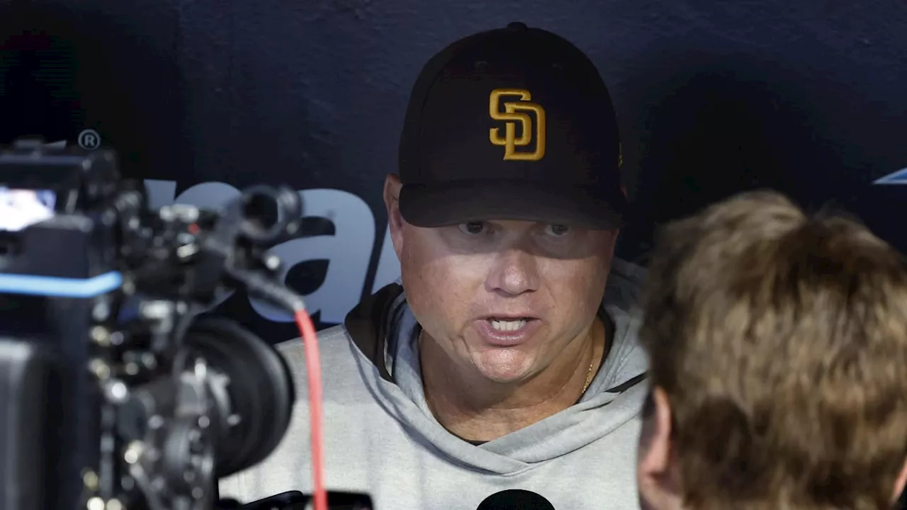 Padres vs Cardinals: Mike Shildt's 'Revenge,' How to Watch, Odds, Predictions, More