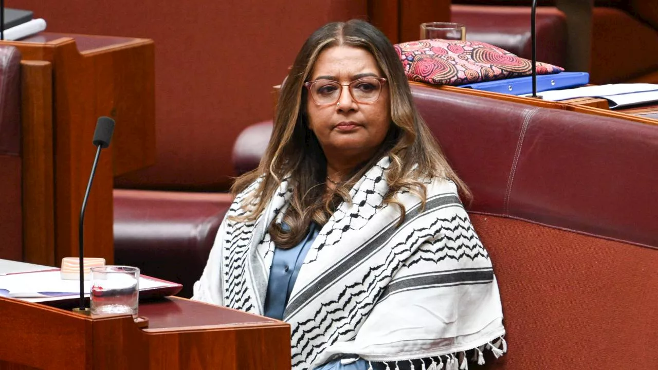 Mehreen Faruqi’s appointment to antisemitism committee makes a ‘mockery’ of inquiry