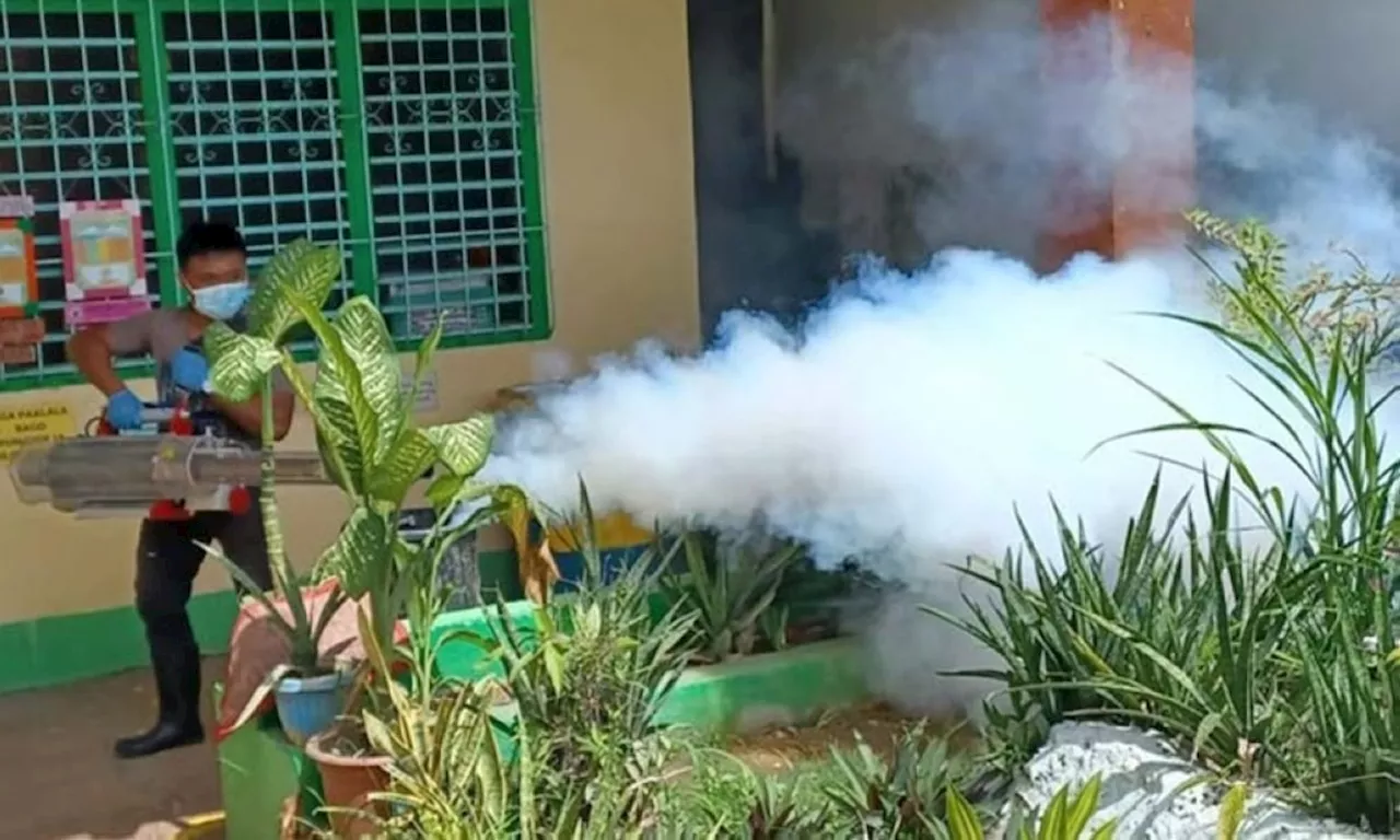 Group: Prevent mosquito habitats amid rising dengue fatalities