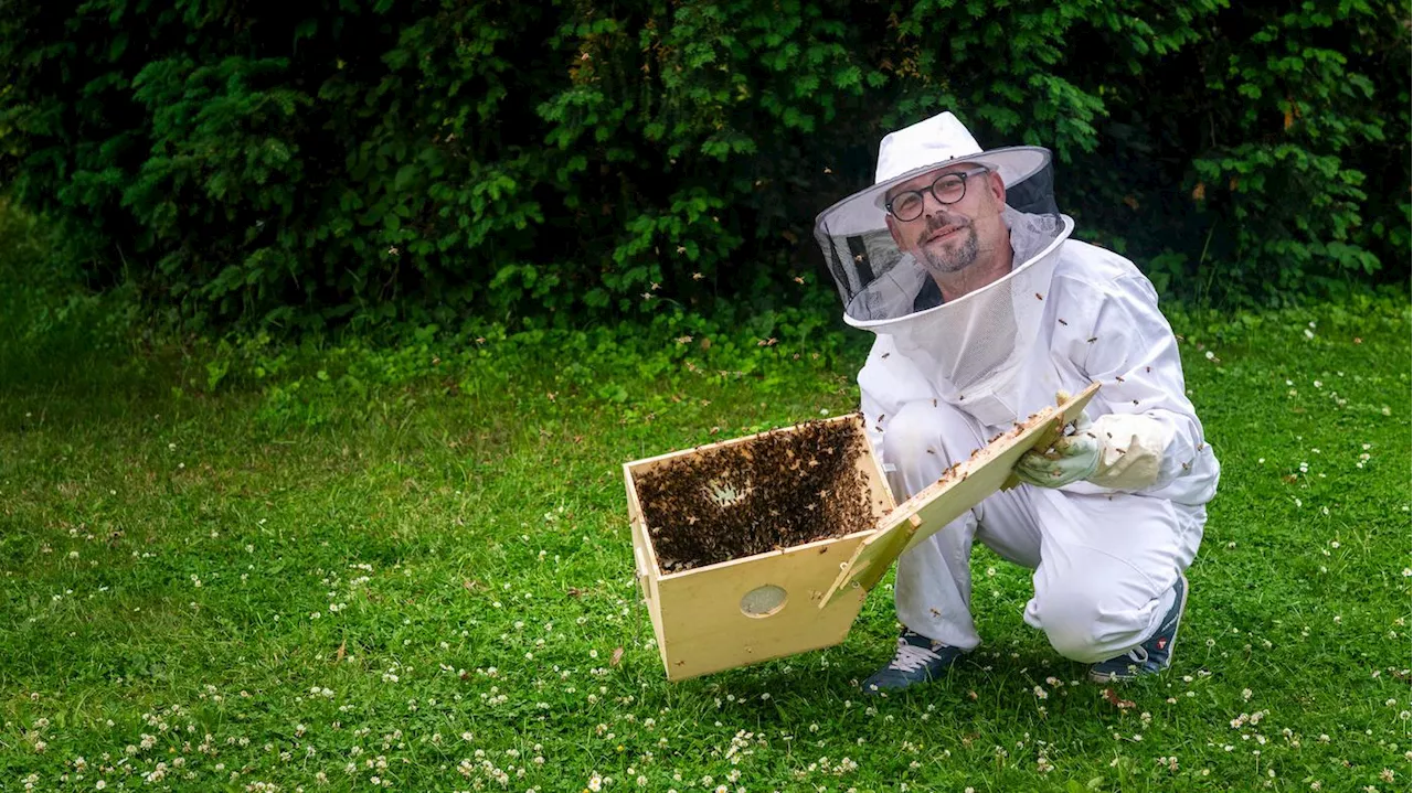 „Berlin ist für die Tiere ideal”: Imker bringt seine Bienen in Fünf-Sterne-Hotel unter