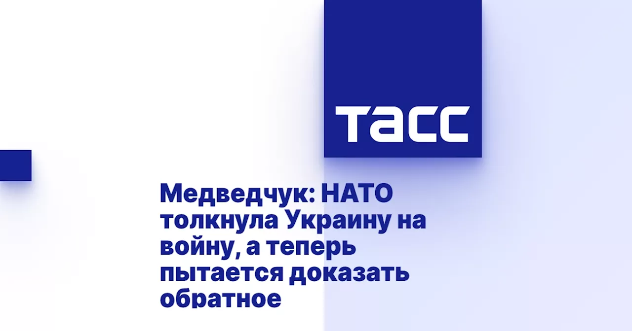 Медведчук: НАТО толкнула Украину на войну, а теперь пытается доказать обратное