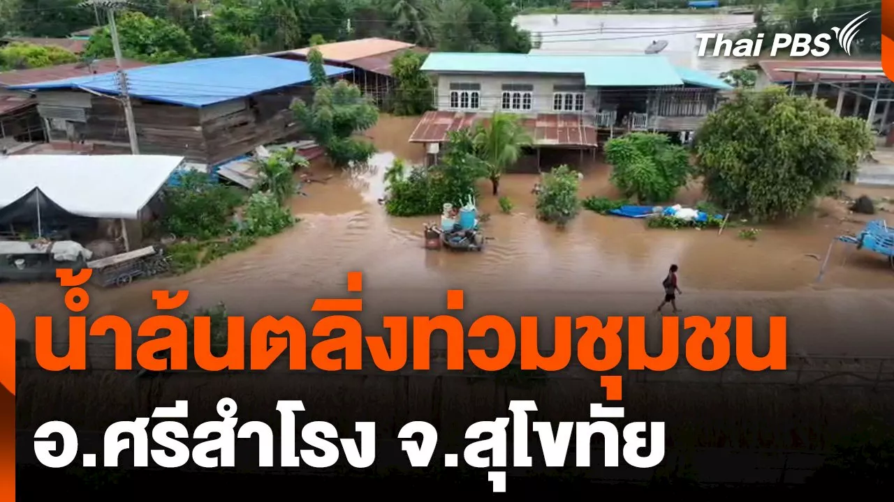 น้ำล้นตลิ่งท่วมชุมชน อ.ศรีสำโรง จ.สุโขทัย | Thai PBS รายการไทยพีบีเอส