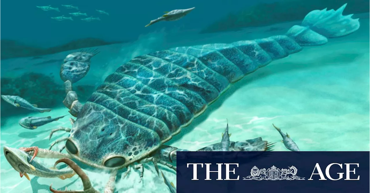 Giant ‘sea scorpions’ hunted Australian waters like sharks