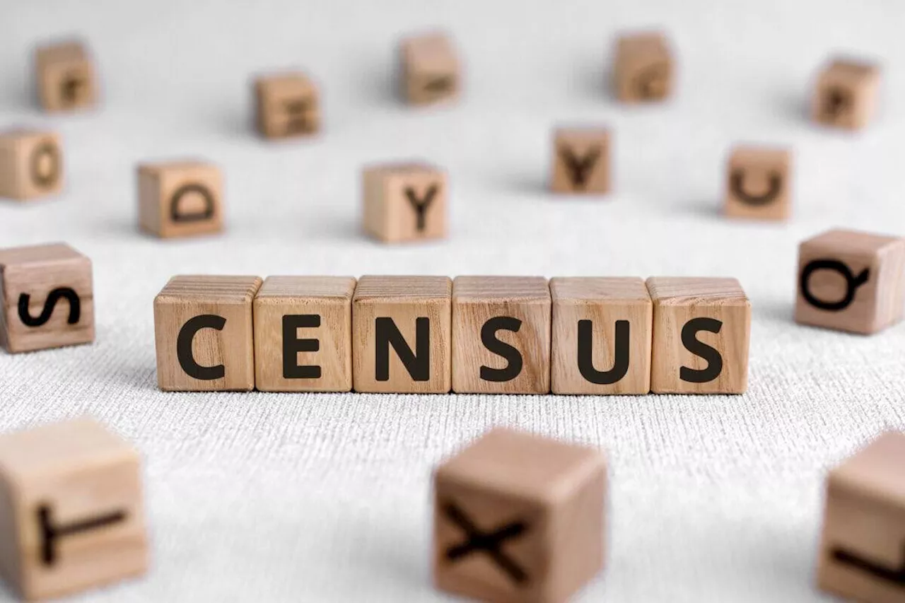 Census 2022: A blunder that could haunt SA