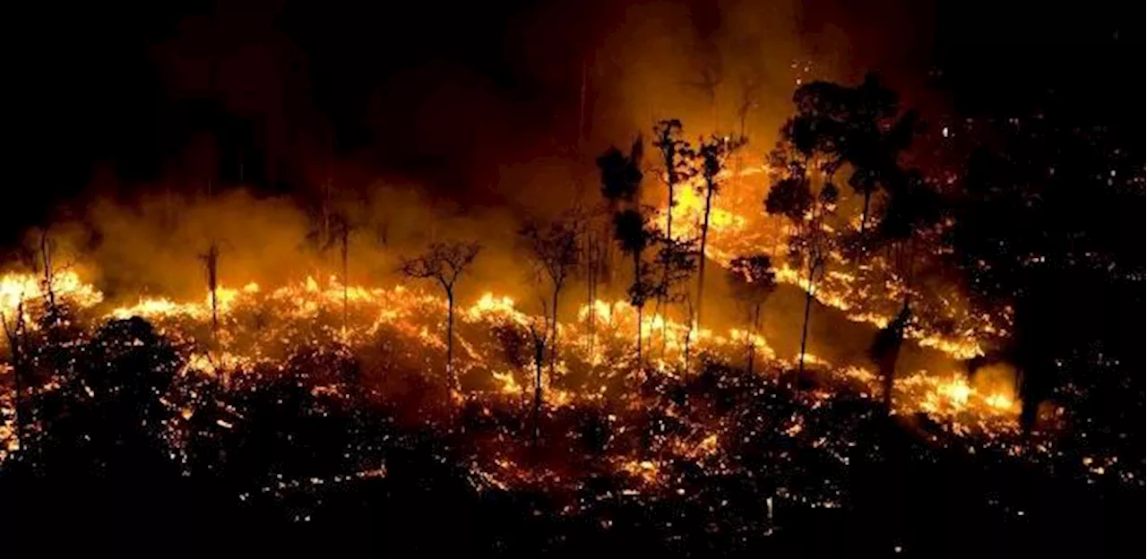 Brigadista morre ao combater incêndio em terra indígena do Xingu (MT)