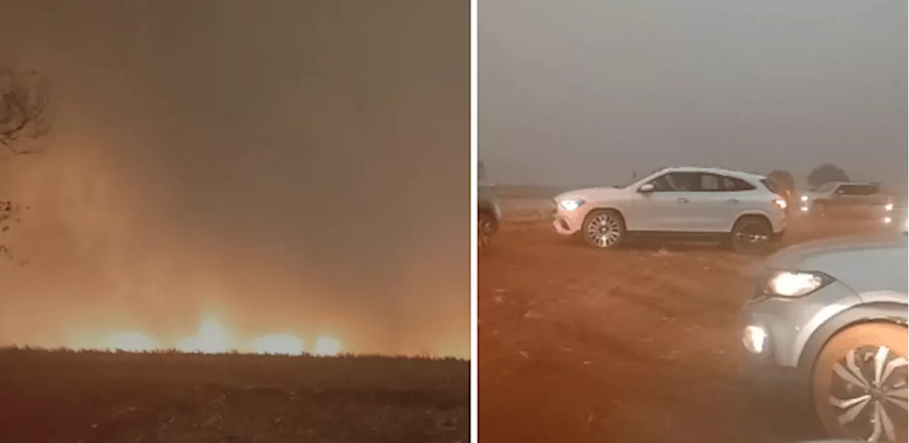 Hotel-fazenda em SP é atingido por incêndio e alguns animais morrem