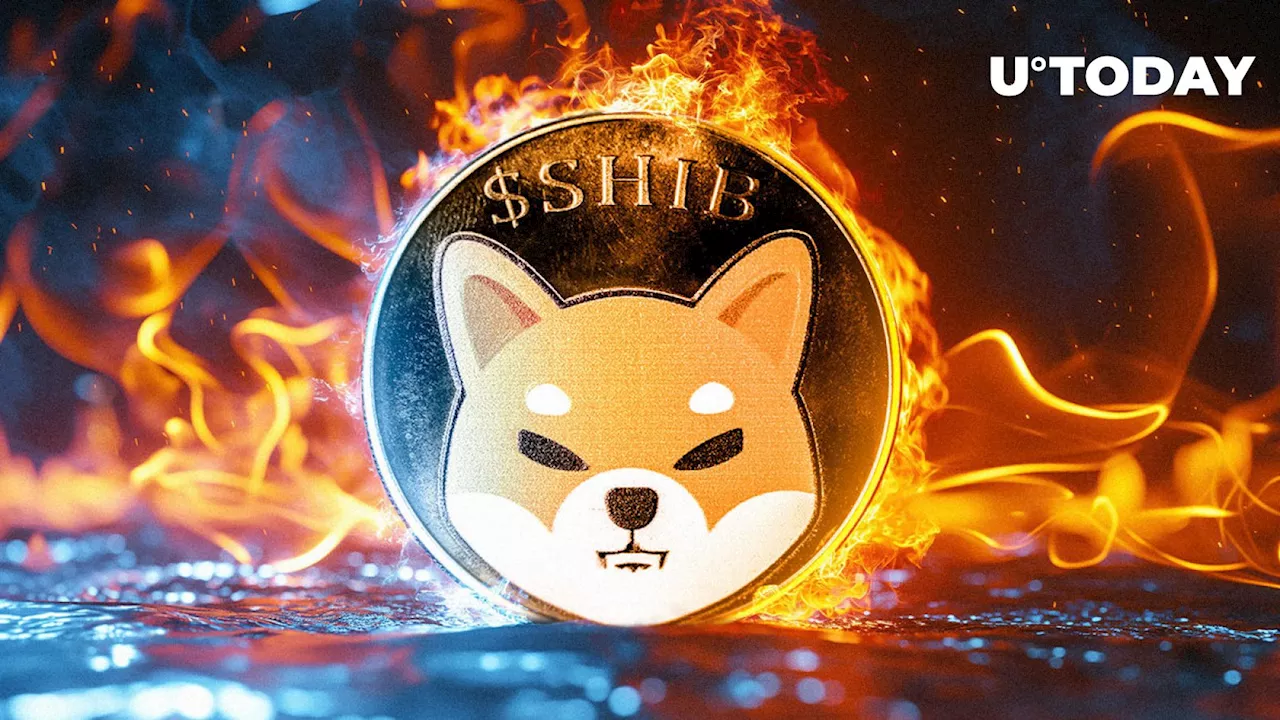 SHIB Burns Explode by 790% Despite Massive Price Setback