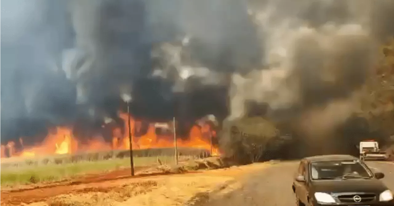 Queimadas causaram prejuízo de R$ 1 bilhão ao agronegócio, estima governo de SP