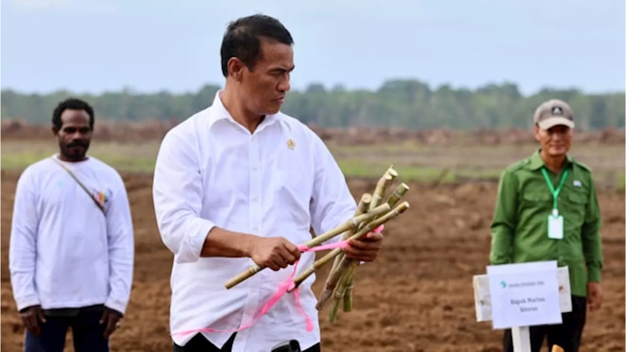 Mentan Amran Minta Tambahan Anggaran Rp 68 Triliun Buat Cetah 1 Juta Hektar Sawah pada 2025