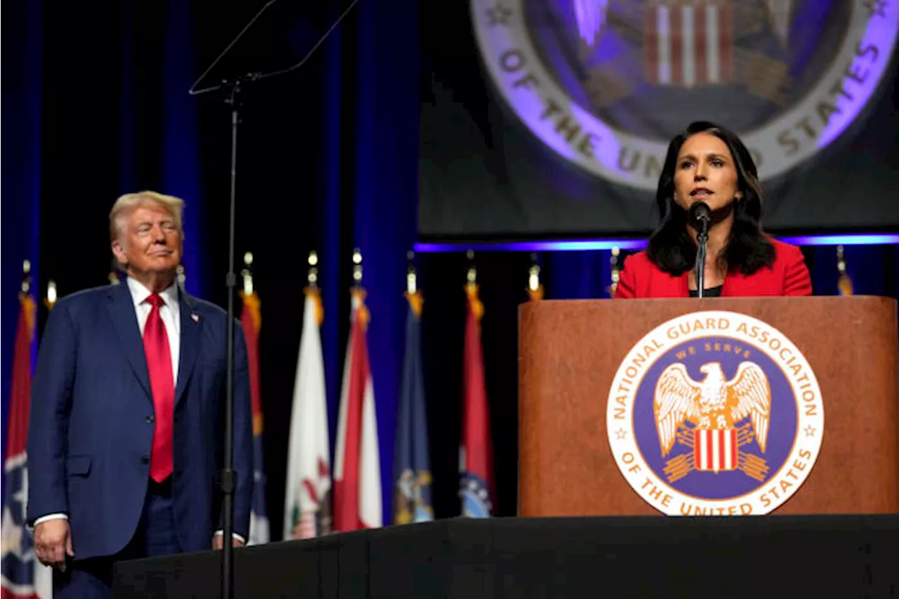 Tulsi Gabbard, who ran for 2020 Democratic nomination, endorses Trump against former foe Harris