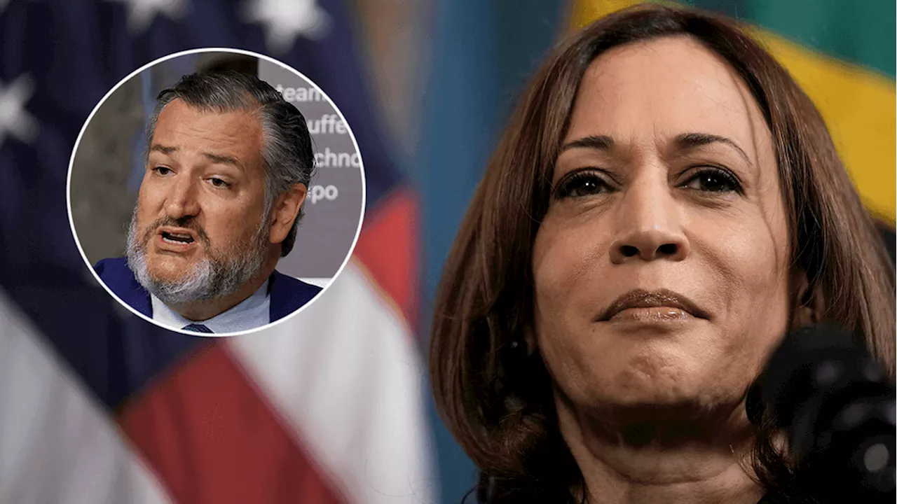 Harris blasted on anniversary of Afghanistan withdrawal: 'Grossly failed to lead'