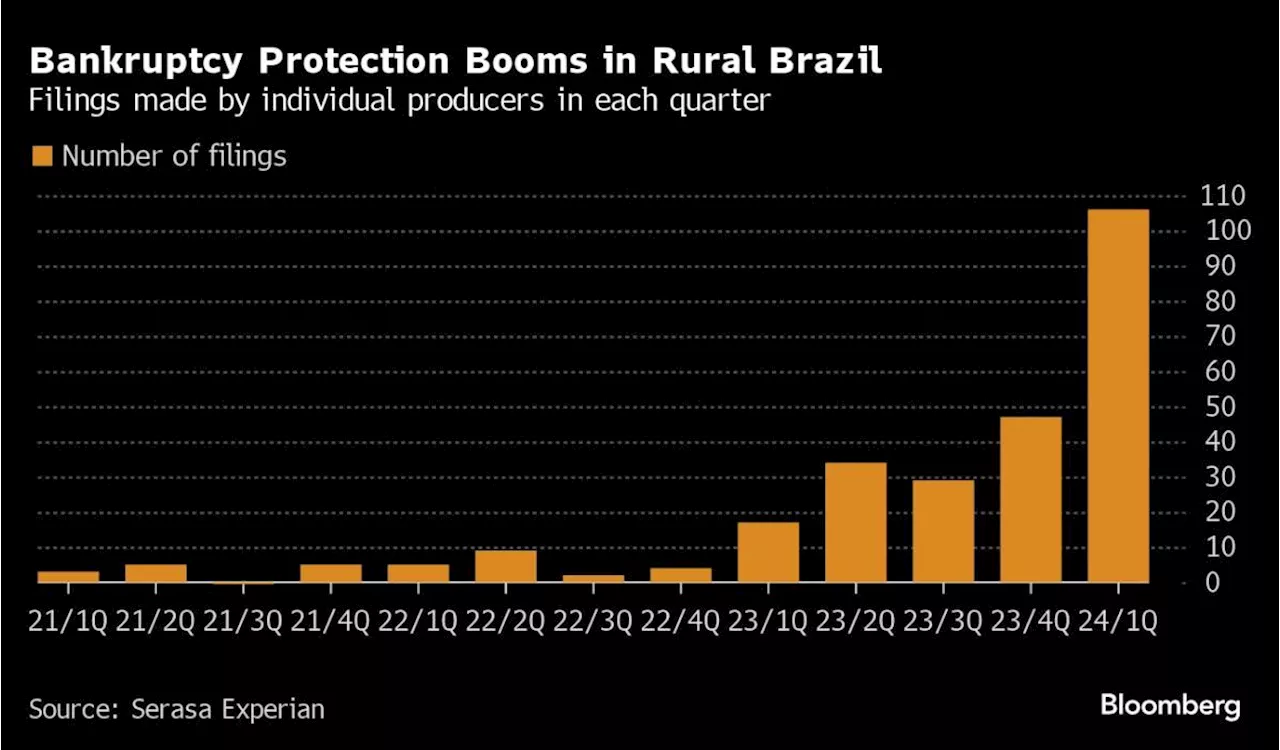 Creditors Struggle to Seize Land in Brazil as Bankruptcies Surge