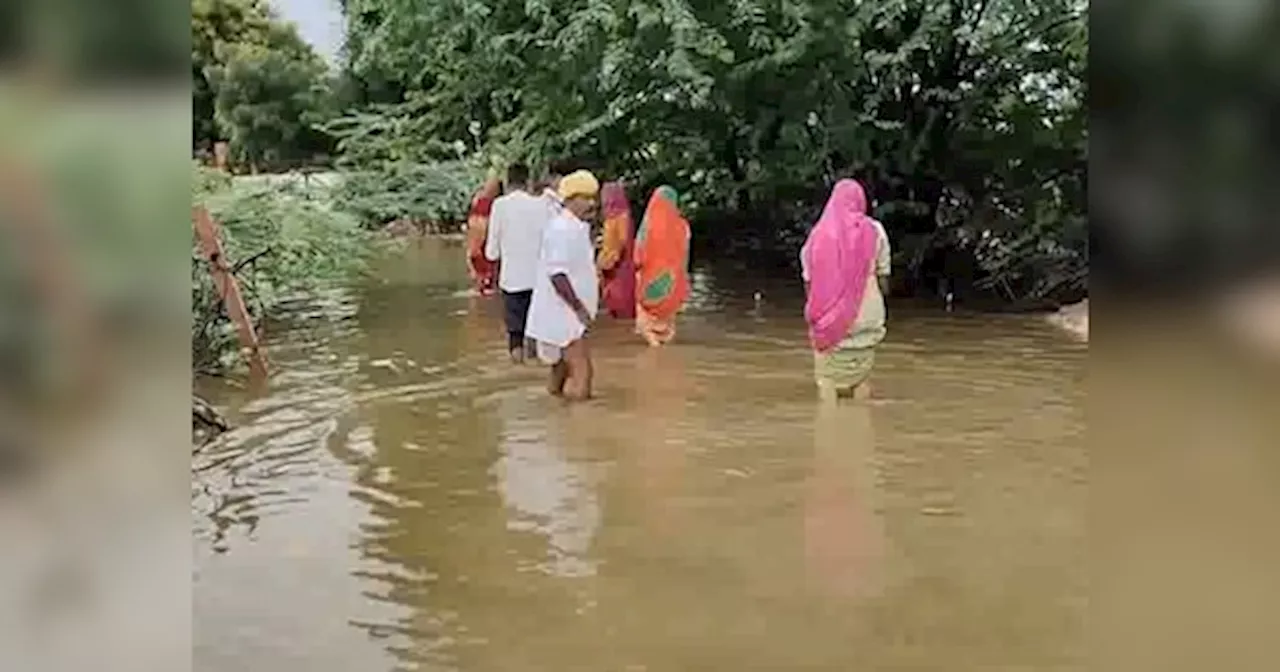 जहरीले पानी से बालोतरा जिले के लोगों का जीना हुआ दुश्वार, आये दिन मर रहे मवेशी व वन्यजीव