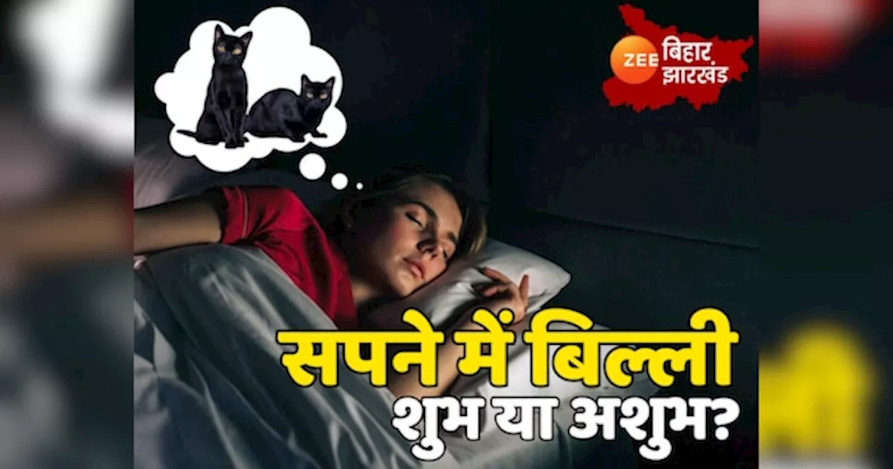 Dream Science: बिल्ली को सपने में देखना होता है बहुत शुभ, क्या मिलता है ढेर सारा पैसा