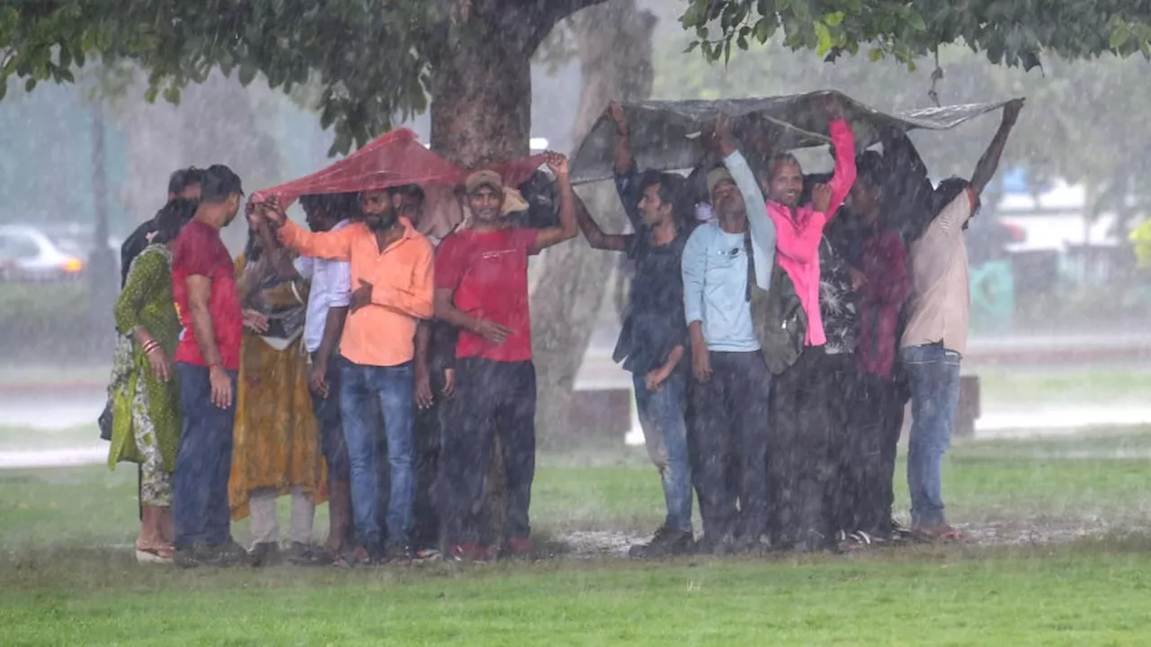 IMD Warns Of Intense Rains In Madhya Pradesh, Rajasthan, Gujarat, Maharashtra: Check Full Forecast