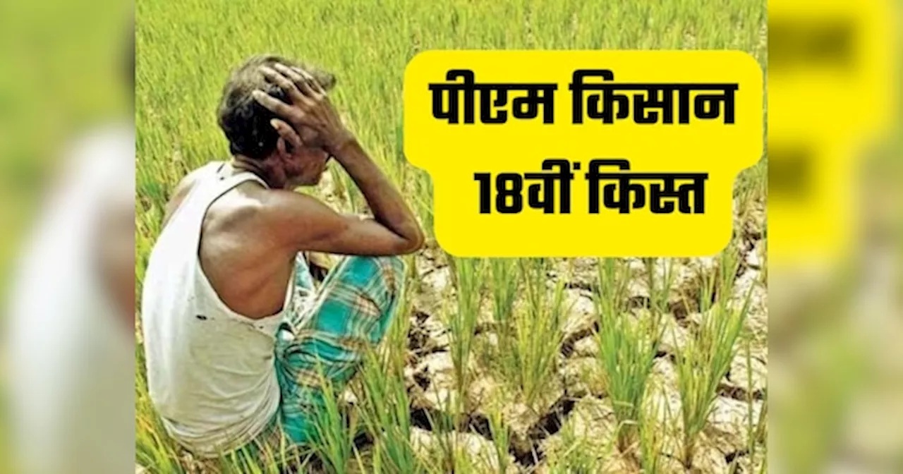 PM Kisan: पीएम किसान की 18वीं किस्त खो सकते हैं यूपी के ये 10 लाख किसान, एक गलती पड़ेगी भारी!