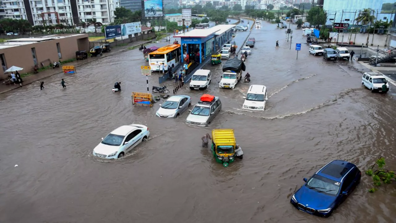 गुजरात में बारिश का कहर, उफान पर नदियां, पानी में बहे पशु, वीडियो में देखें ग्राउंड हालात