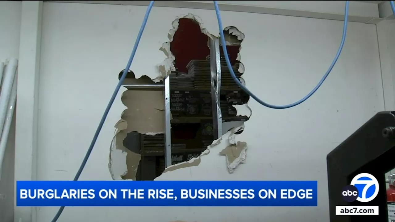 Burglars smash walls to ransack more than a dozen businesses in LA's Fashion District