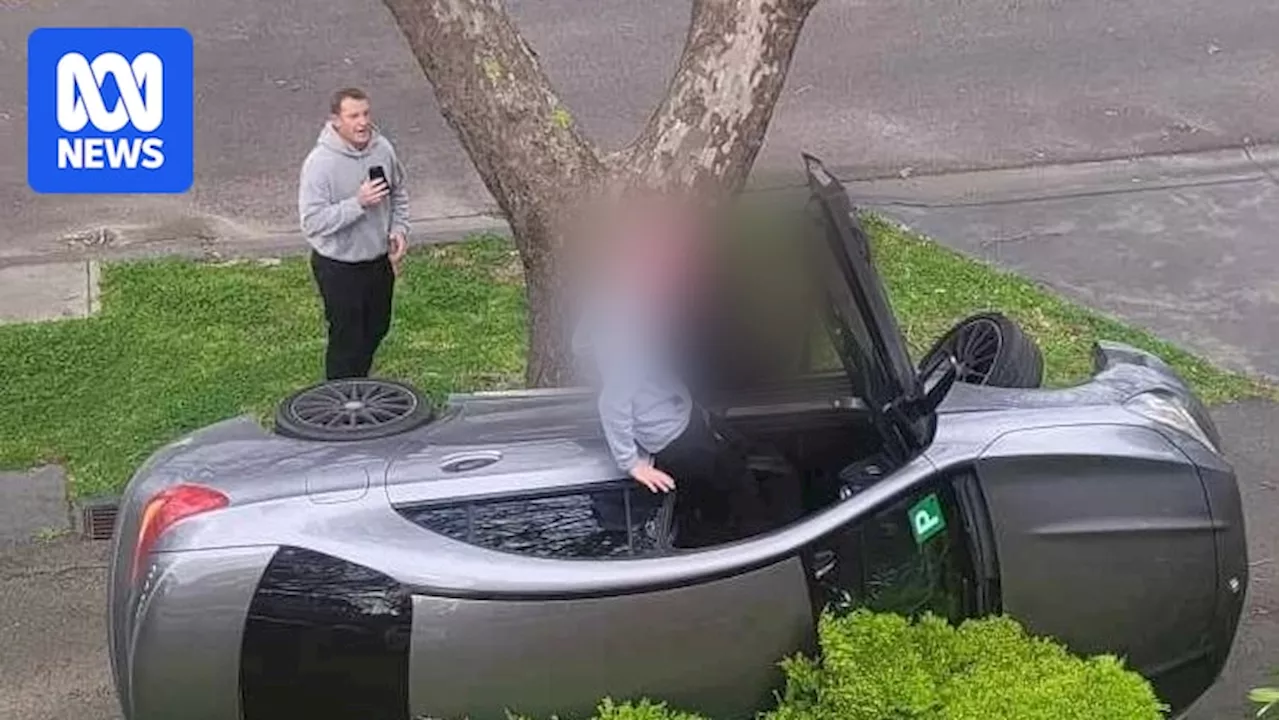 AFL coach Michael Voss makes dramatic arrest of alleged car thief after Melbourne crash