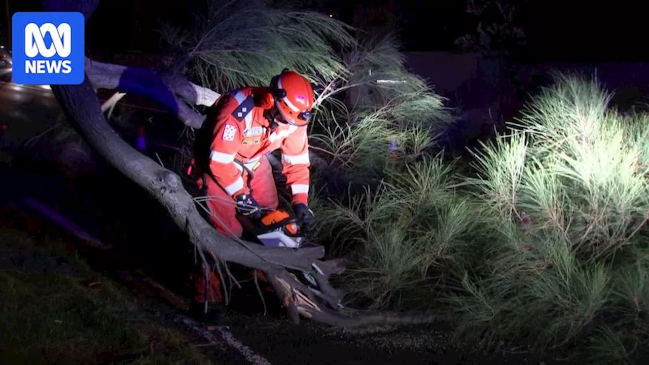 Damaging winds expected across western Victoria and metropolitan Melbourne