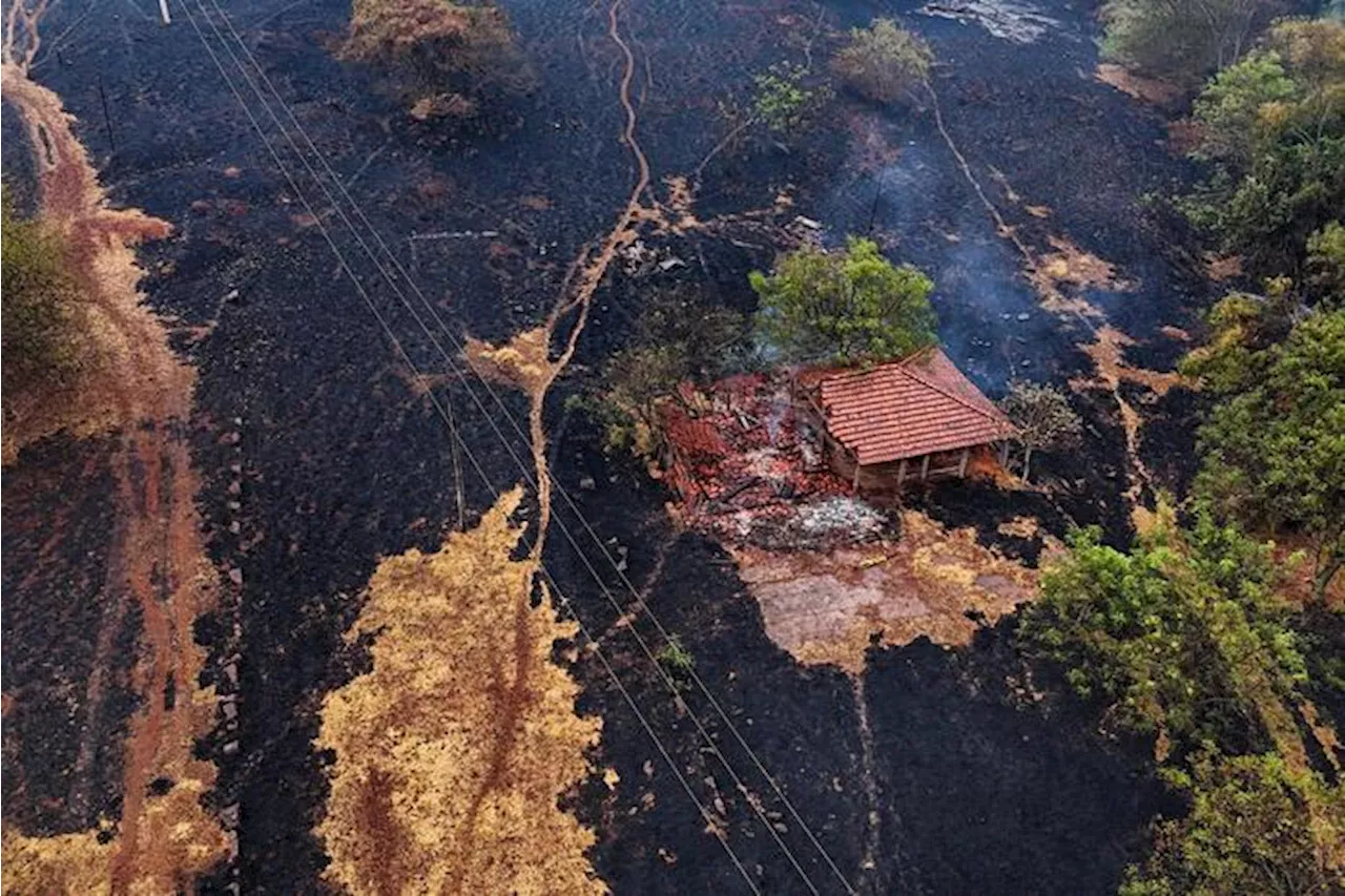 Incêndios em SP foram ações humanas, diz governo federal