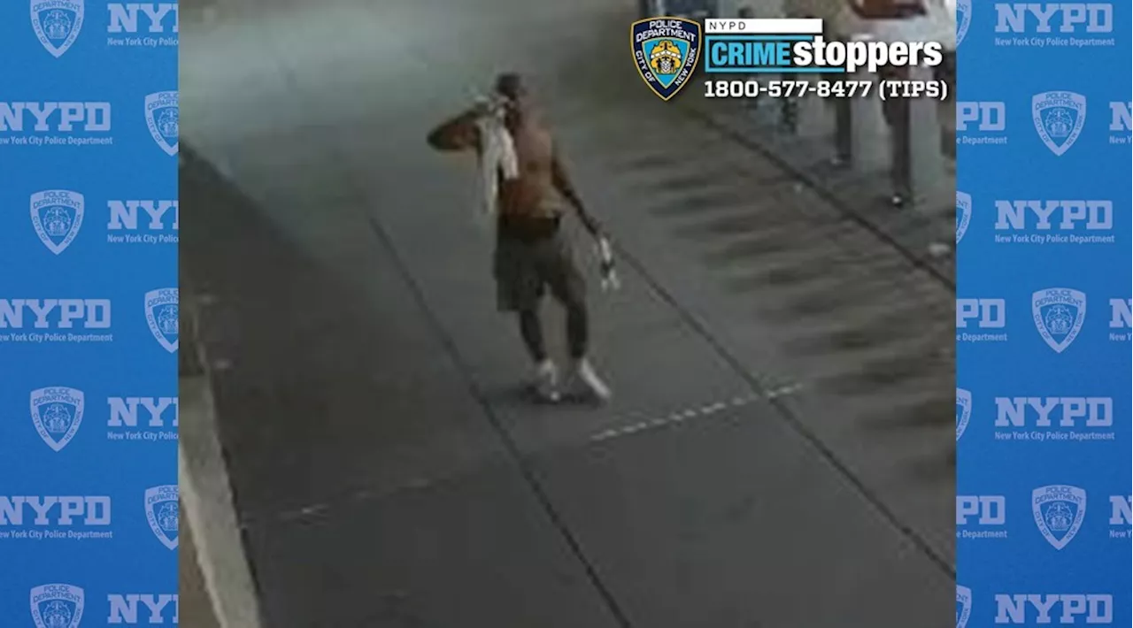 Bookworm brute hits teen in the face while walking in the Flatiron District