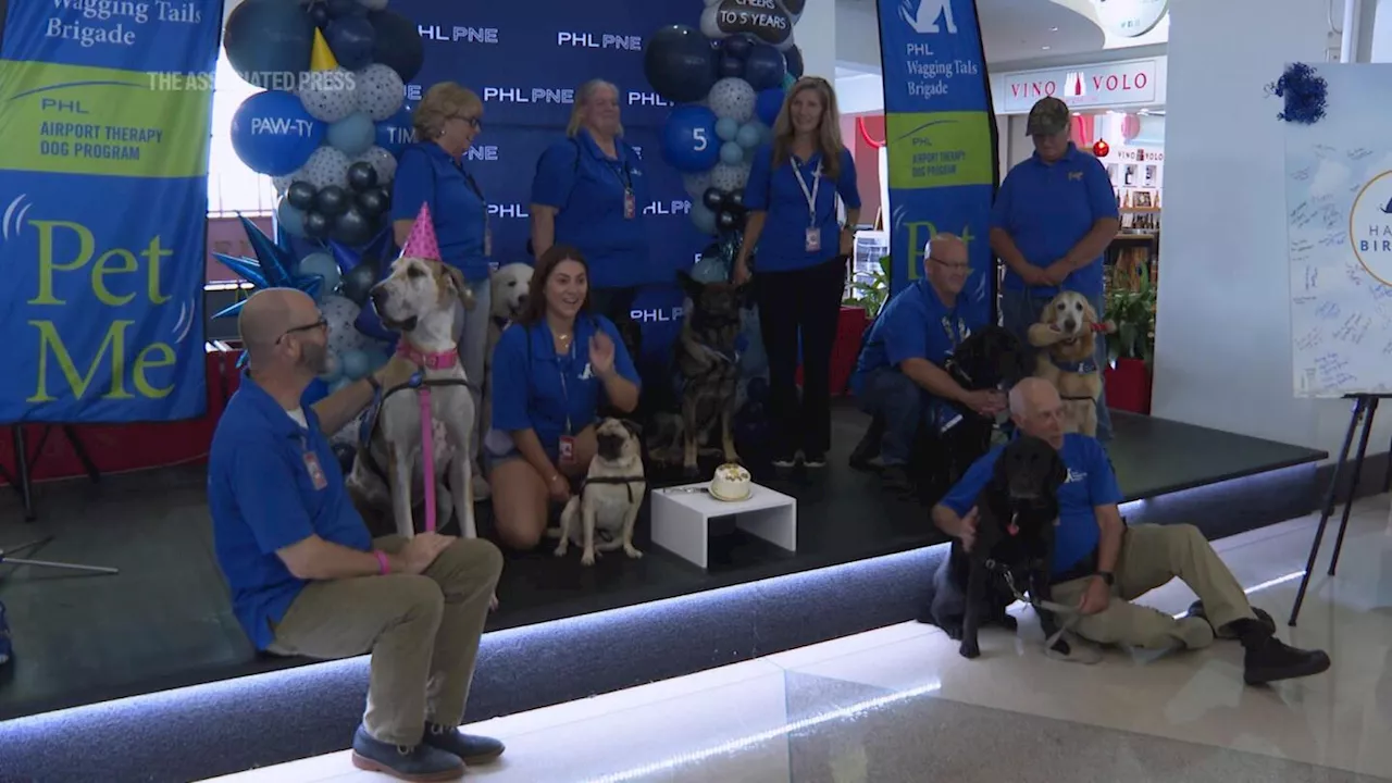 Philadelphia airport thanks its brigade of therapy canines with a dog day in August