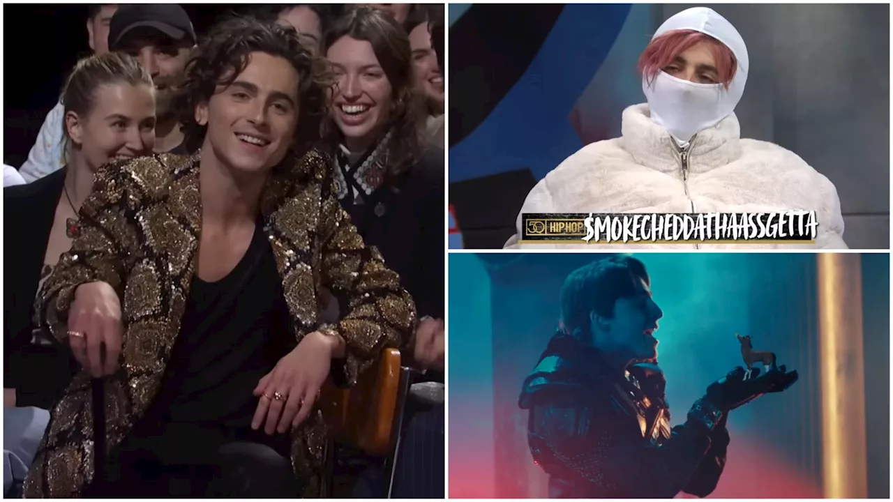 SNL Second-Guessing: Season 49 Sold Us on Timothée Chalamet's Talent