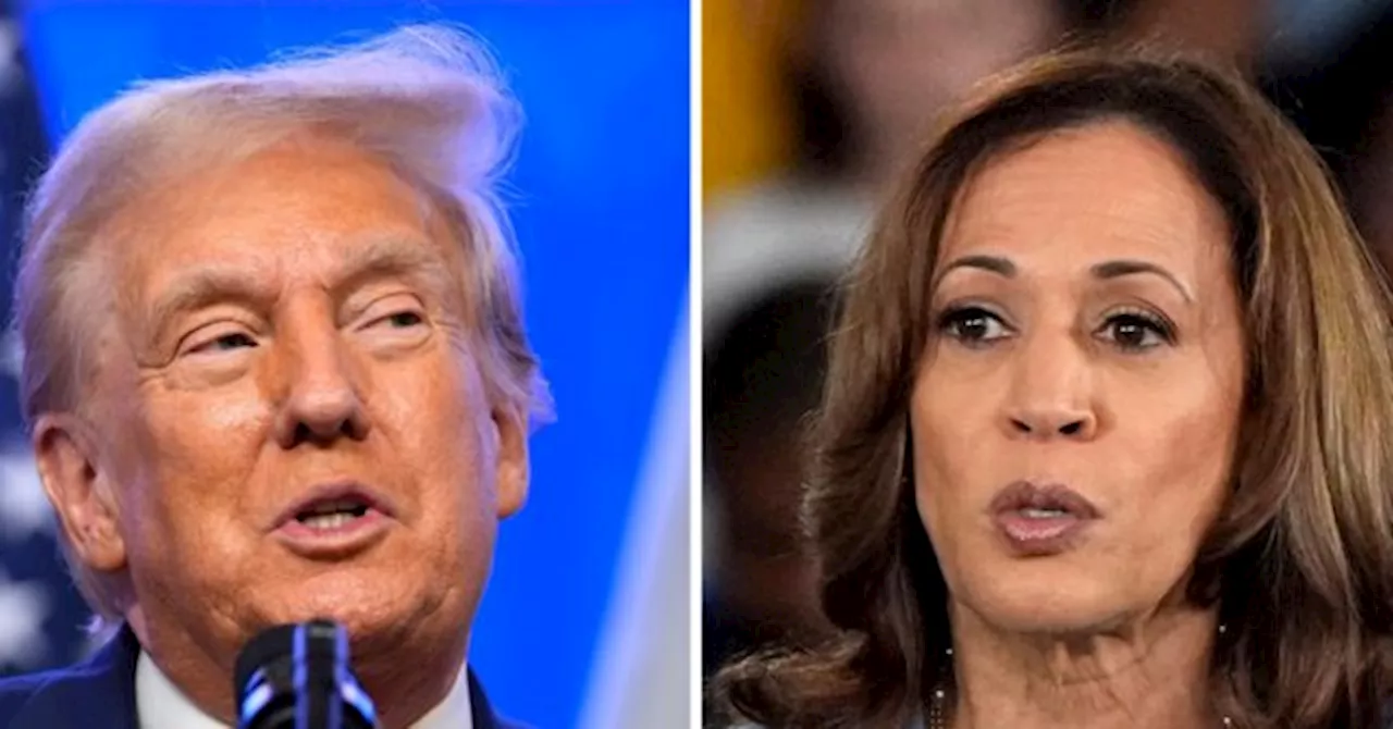 Nolte: Donald Trump Maintains Lead over Kamala Harris in Arizona