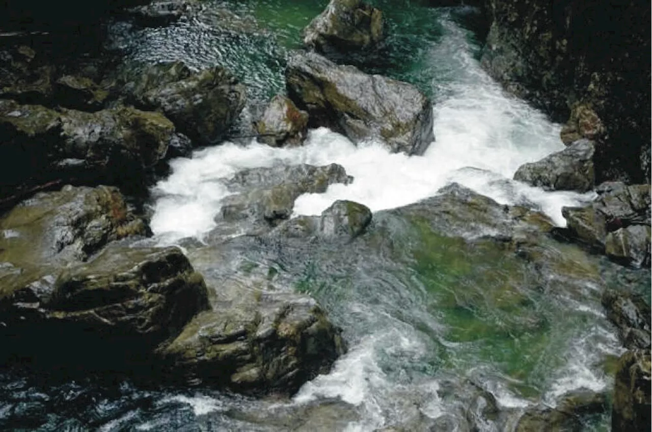 Teenager dies after fall from cliff in North Vancouver's Lynn Canyon