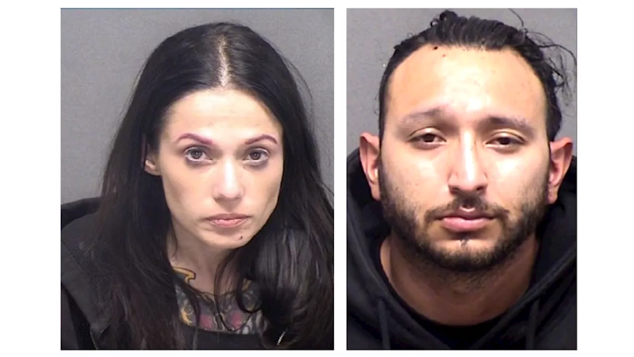 San Antonio couple pleads guilty in fatal pit bull attack case