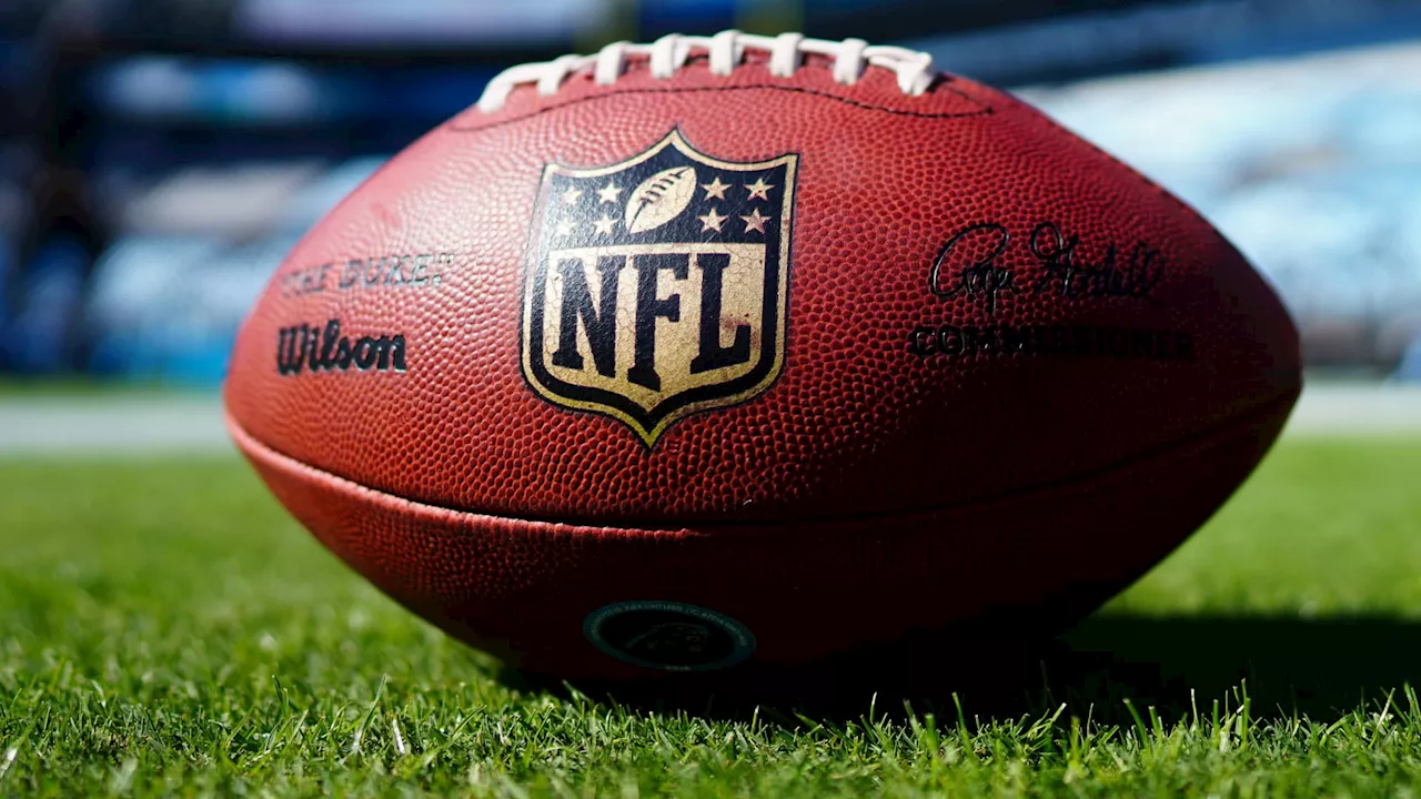 NFL expected to vote in favor of private equity ownership; select firms to commit $12 billion