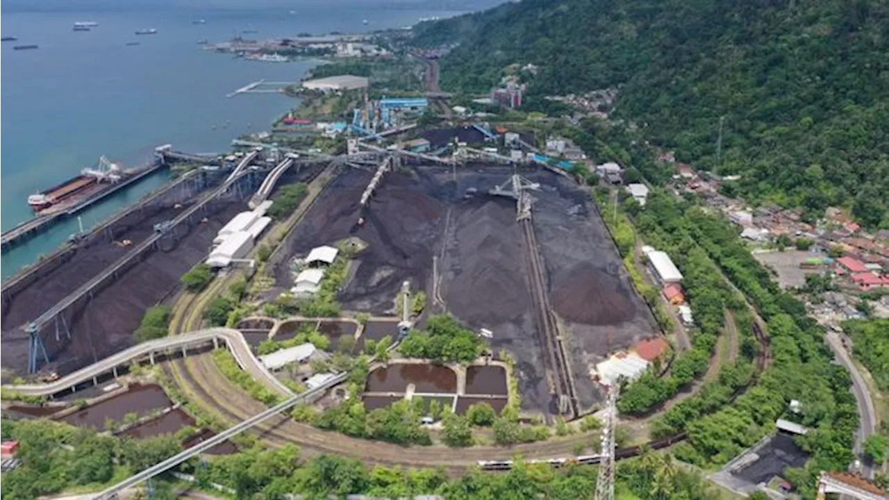 Cadangan Batu Bara Bukit Asam (PTBA) Cukup Untuk 100 Tahun