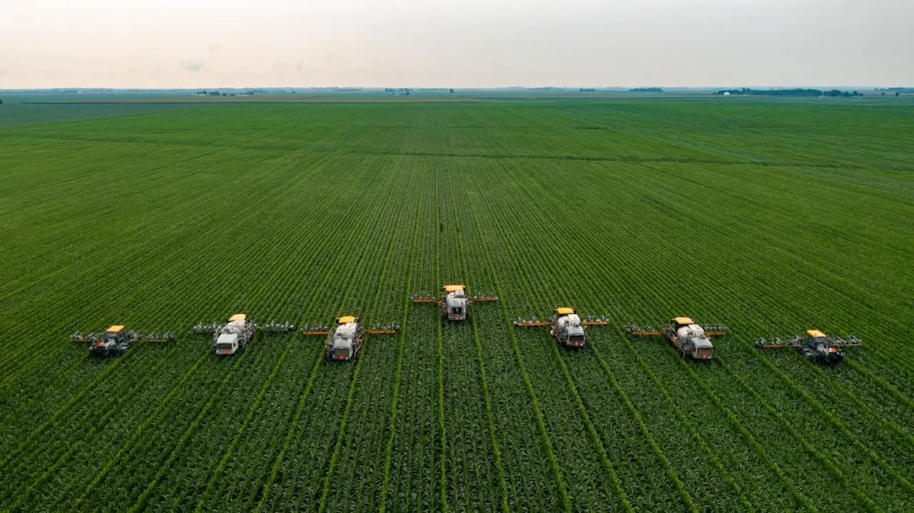 SP produz mais da metade do açúcar nacional; veja o que mais é cultivado no estado