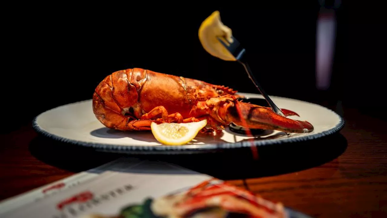 Red Lobster cerrará otros 23 restaurantes; estas son las ubicaciones