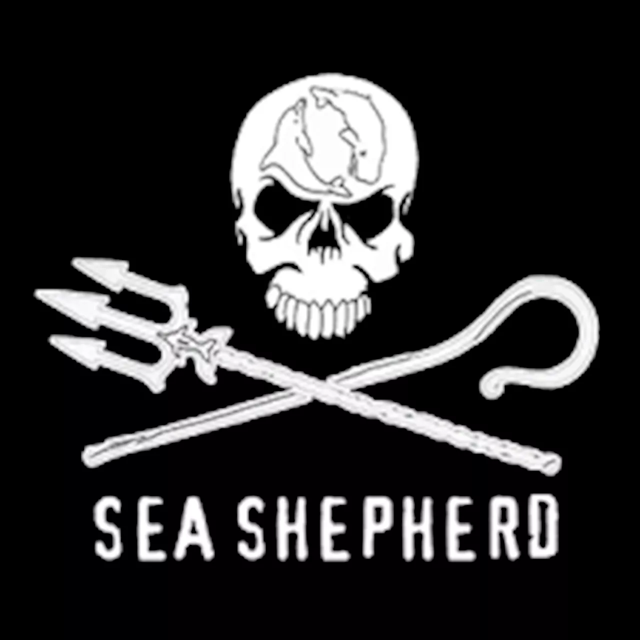 Sea shepherd on Common Dreams's site