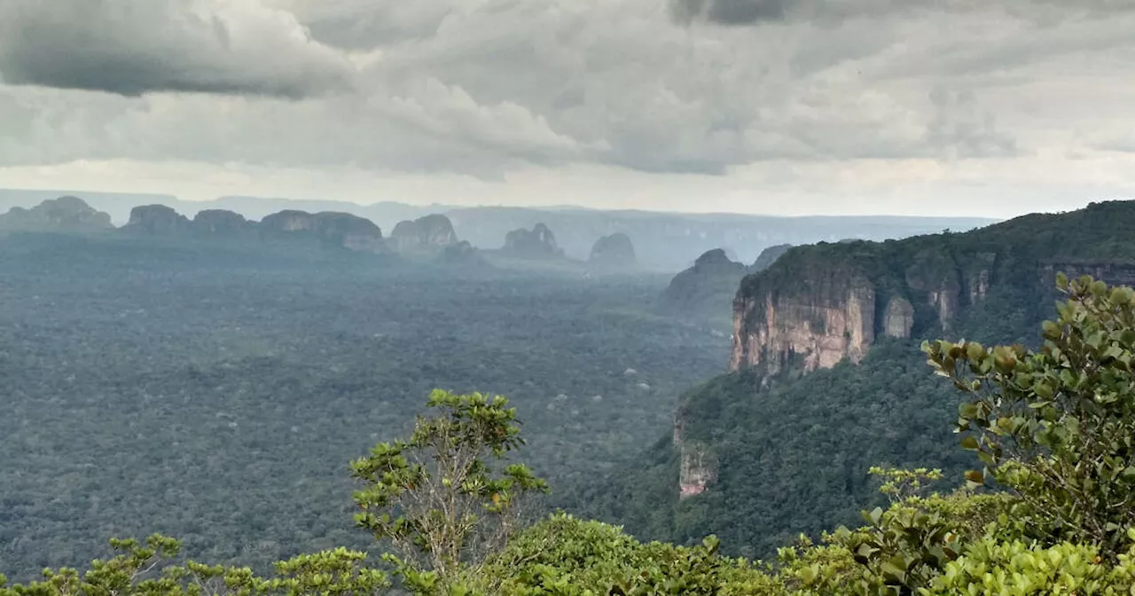 En Colombie, la “chapelle sixtine de l’Amazonie” victime de la déforestation