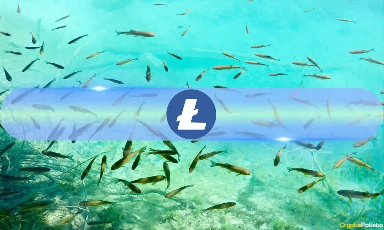 Small Litecoin (LTC) Fishes Are ‘Jumping Ship,’ Here’s What it Means