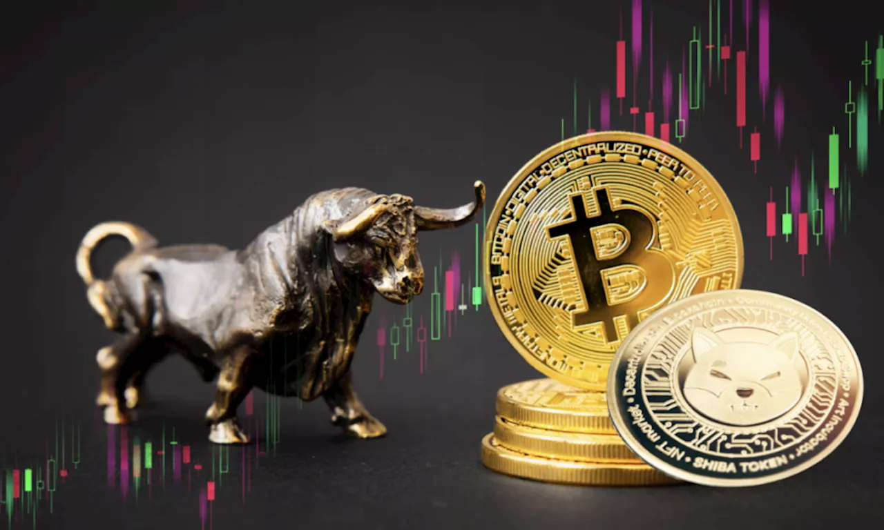 Bitcoin Bull Run Set to Restart Soon, Boosting Ethereum Altcoins Like RCOF