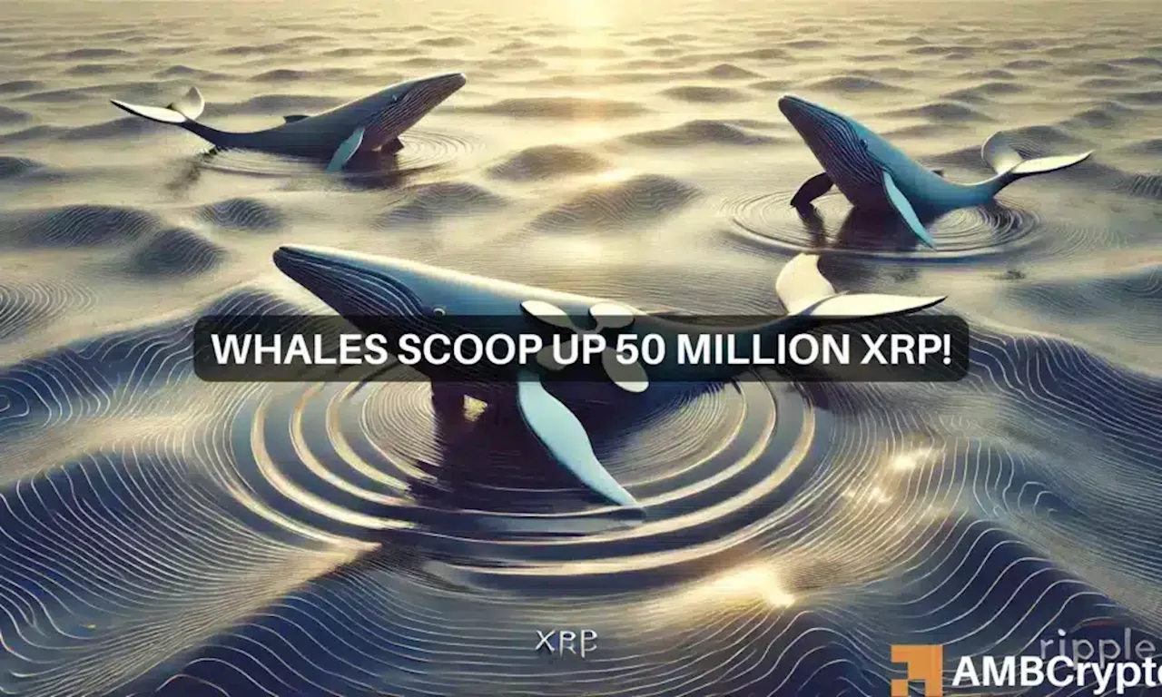 XRP whales scoop up 50 mln tokens amid price drop – Bull run incoming?