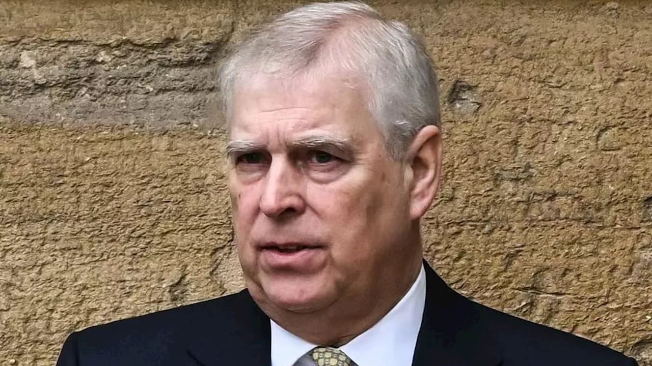 Ephraim Hardcastle: Will Prince Andrew be watching A Very Royal Scandal, produced by former friend...