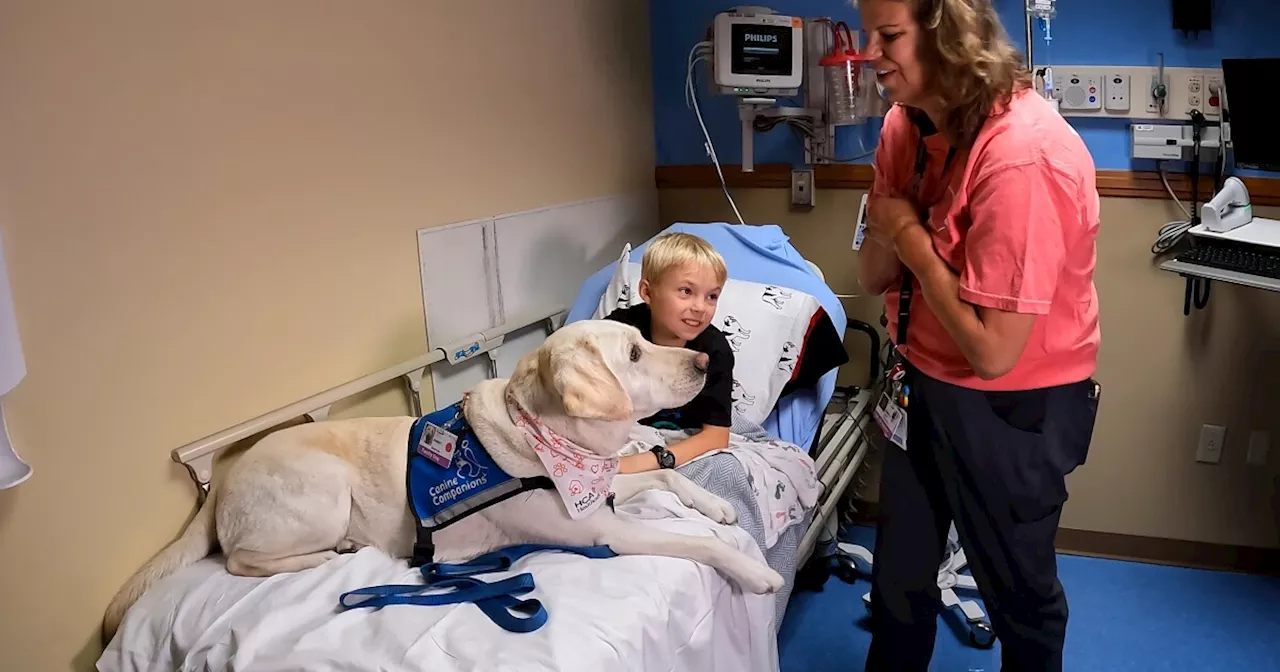 The 'tail' behind the dogs at Rocky Mountain Hospital for Children