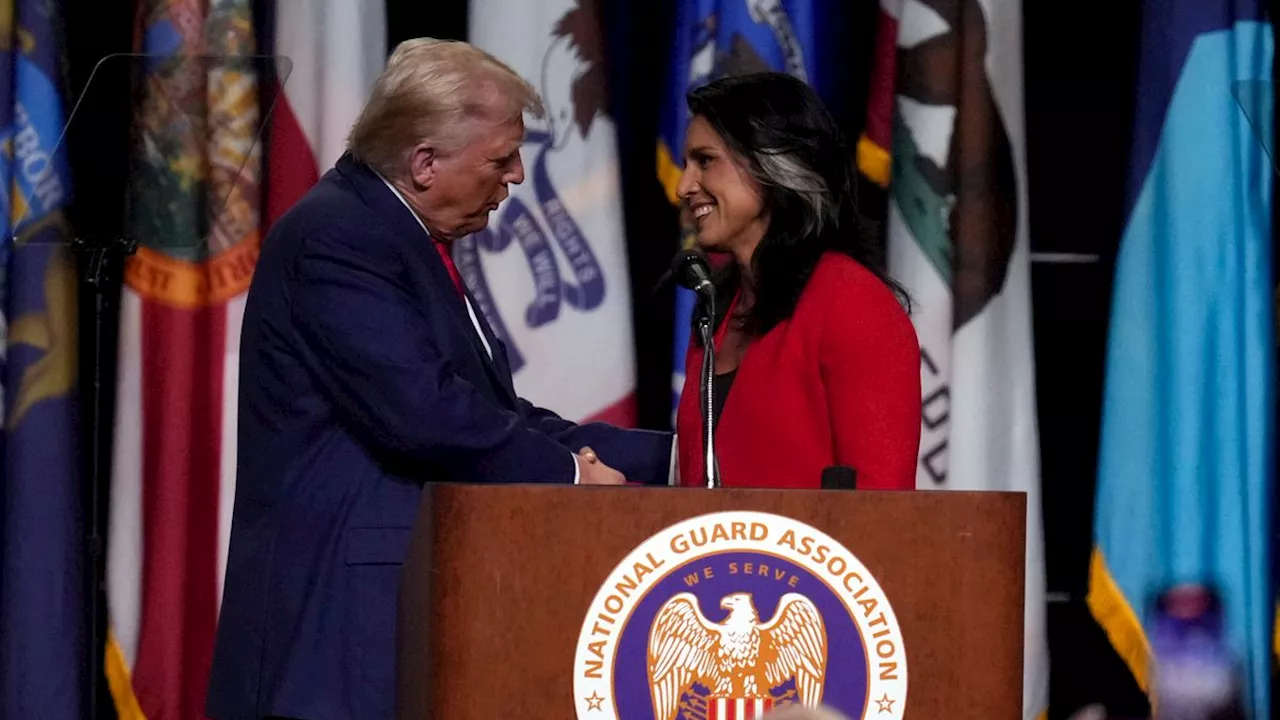 Wahlkampf in den USA: Frühere Demokratin Tulsi Gabbard unterstützt Donald Trump