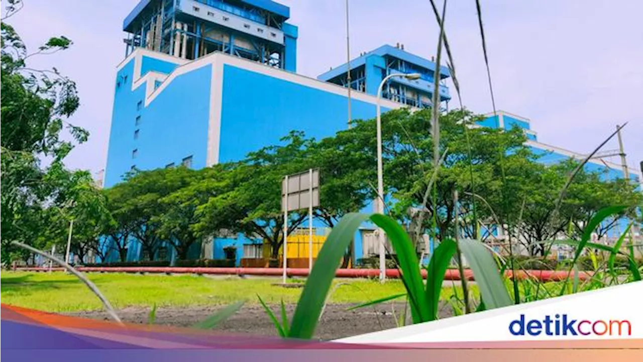 PLN IP Bakal Pakai Green Ammonia buat Bahan Bakar PLTU Labuan