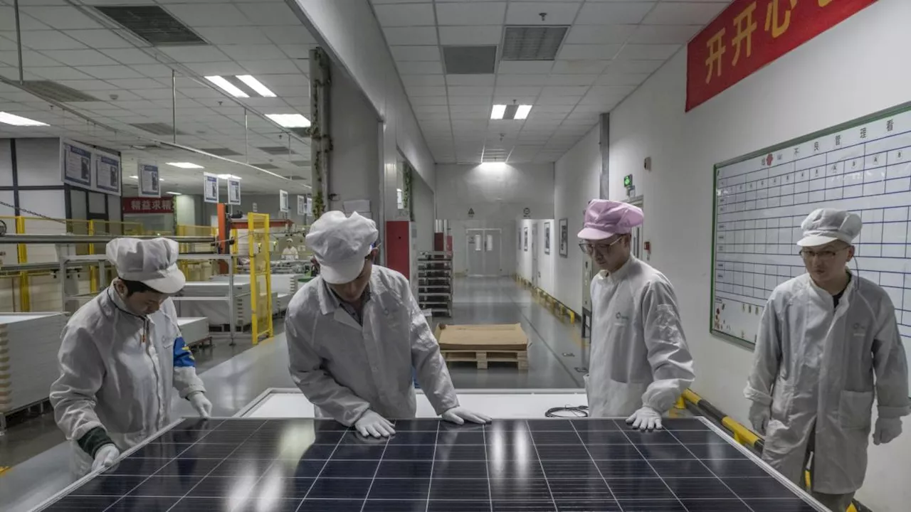 China domina la energía solar, pero su industria local está en problemas; ¿qué está sucediendo?