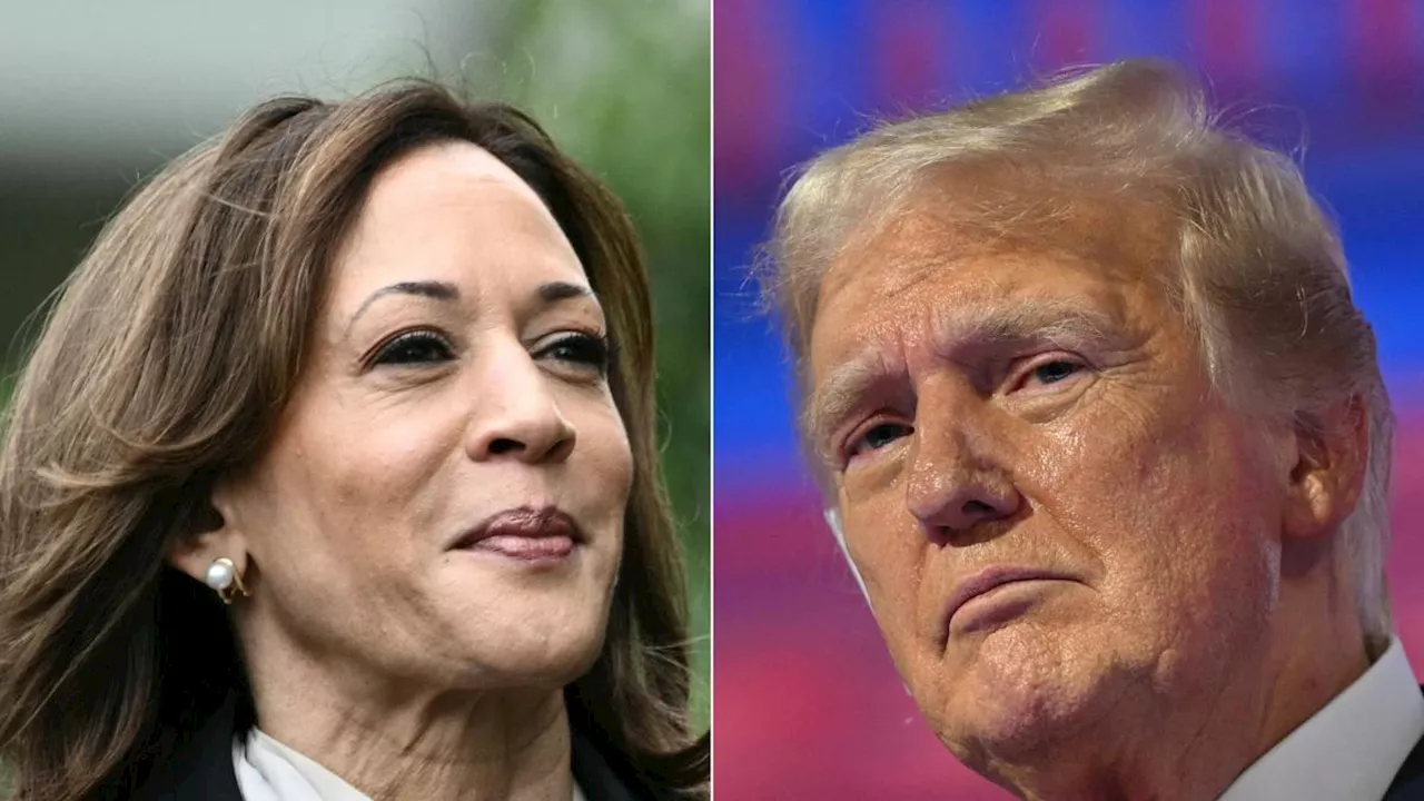 ¿Kamala Harris sigue arriba en las encuestas frente a Donald Trump?