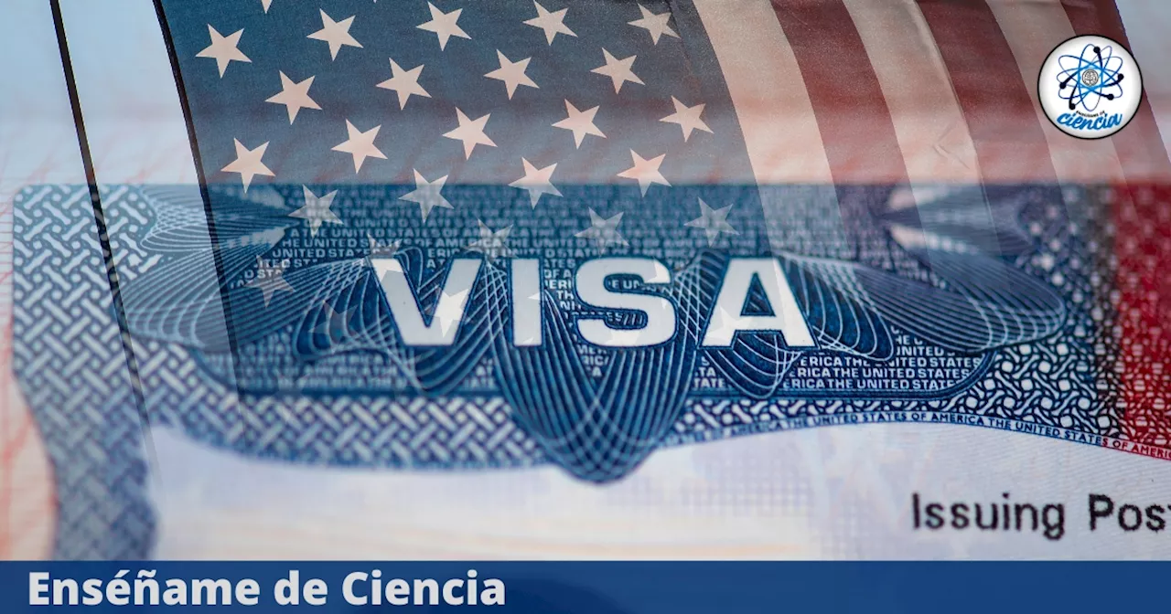 Respira profundo antes de saber cuánto cuesta la VISA americana en 2024